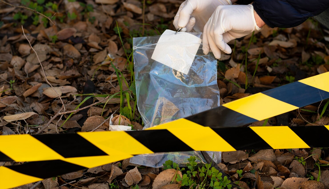 Homicide / Attempted Homicide